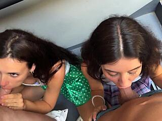 i can't believe these student sluts flash panties at starbucks then beg strangers for rough anal orgy creampies