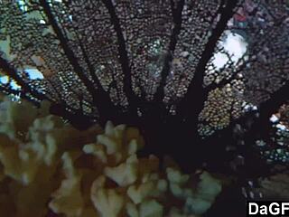 Cecilia Lion tempts stepdaddy from next door