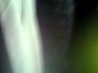 Prima's Vibrator Buzzes Wild Outdoors