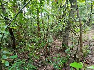 Thai girl chats mushroom hunt in forest then flashes deep woods secretly?