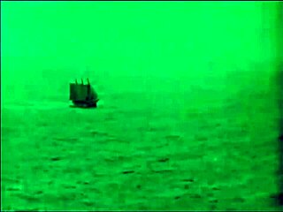 dark lantern's dragonfly freddie hairy pussy close-up