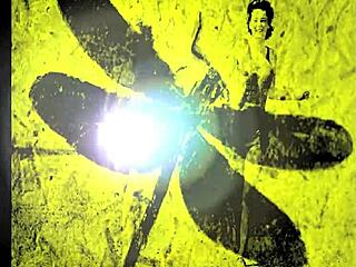 dark lantern's dragonfly freddie hairy pussy close-up