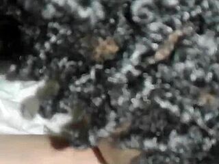 wanna suck wife's toes while fucking?