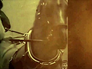 Vintage Erotic Drawings Hint At Naughty Secrets