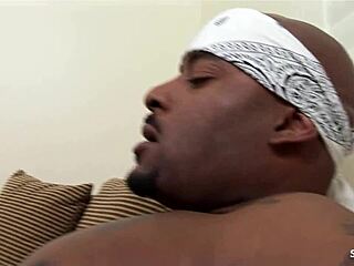 Curvy Ebony Kristi Kush Bounces Big Ass and Tits on BBC Till Cum on Butt