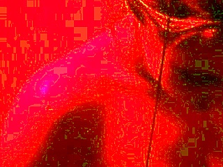 gabi silva squirts wildly!!