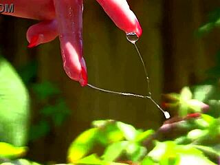 bikini pops my sugar baby... she's so damn cute with that tiny ass and tits i gotta flash her outdoors