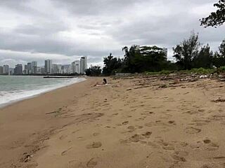 Public dick flashing? Hottie lets cum blast on huge tits!