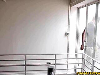 college coed julia james cums on neighbor's monster bbc doggystyle