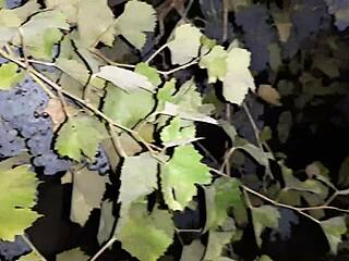 russian neighbor licks my hairy pussy for grapes thanks