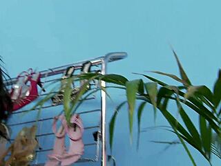 hey these big boobs got you staring huh