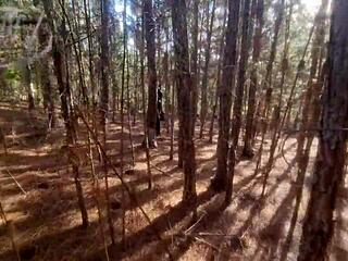 lost tourist fucks tattooed forest witch to lift halloween curse