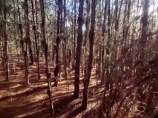 lost tourist fucks tattooed forest witch to lift halloween curse