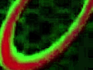 petite brunette milf marcia hase tempts with big ass for deep anal pounding by rome major