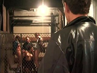 latina aurora sucks cocks anal fucked gangbang cumshot