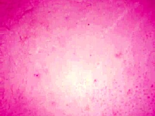 Bbw latina hairy pussy lips tries deep anal assfucking doggystyle bent over after long time