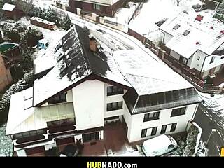 Uncovering Participants In Steve's Mysterious Investigation