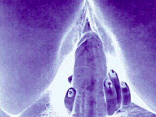 Vintage hairy beavers spread wide in antique erotic beaver feast