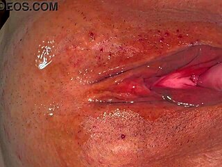 japanese milf wife wet shaved pussy close-up 356 days post virginity loss amateur homemade licking fun