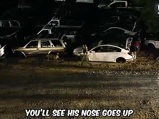 worlds fastest car races against cheetah in ultimate speed showdown