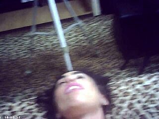 glasses model battles pornstar champ in hardcore intergender sex match