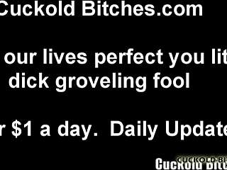 Wife Gets Pounded by Stranger Cuckold Watches BDSM