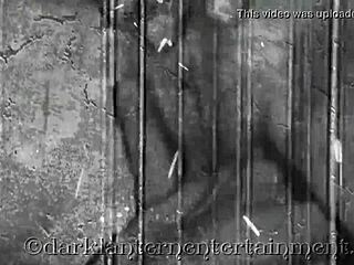 dark lantern unveils my secret life vintage