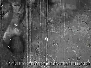 dark lantern unveils my secret life vintage