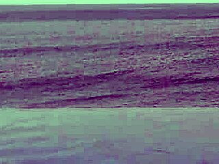 Chilling by the infinity pool, ever wonder what skinny Asian college cutie does next?