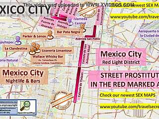 sao paulo brazil street prostitutes brothels massage parlors sex workers callgirls freelancers