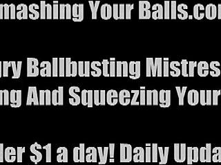 heart races with brutal pain from this epic femdom ballbusting humiliation