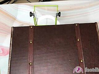 Feetdish Vol 2 Lilly Secretary Feet Box Tease