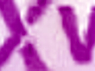 Sexy latina teen adali wood takes first interracial dp monster cocks big gape