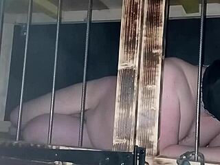 maitresse kantalis locked in club cage whispers intriguing secrets from her carcan