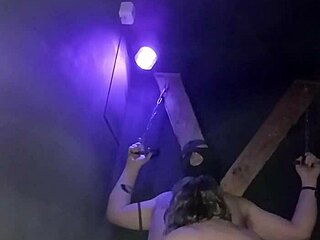 maitresse kantalis locked in club cage whispers intriguing secrets from her carcan