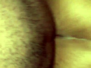 damn tasha creams her fat ebony pussy on huge daddy dick again and again!