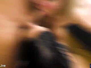 sofia lee and venerea maxima's huge tits jiggle in juicy shaved foursome lesbian romp