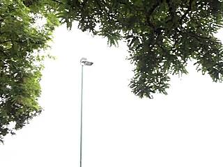 i uh... lick that black guy's thick cum drippin' from my wife's stretched pussy after he wrecked her ass