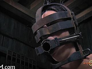 Explore free punishment videos in hidden corners
