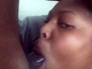 young babe worships massive black cock deeply