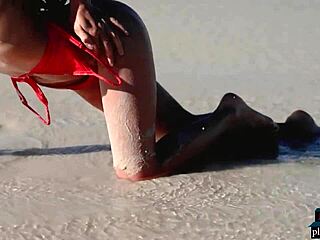 Gloria Sol Strips Adorable Brunette Milf Ass on Beach Outdoor
