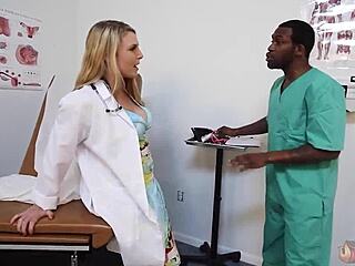 cute blonde joslyn jane slurps rome majors huge cock before banging session