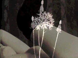 Vintage British Taboo Pussy Fucking Hairy Beaver Blowjob Dark London Home