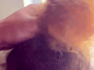 lightskin ebony stepsis slurps sloppy blowjob by window cum face while boyfriend searches