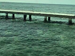 stranger alejandra palacios fucked doggystyle on beach till orgasm