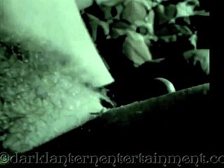 dark lantern stiff as a poker erotic confessions victorian gentleman
