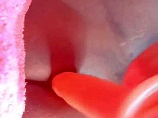 check this meladinho trans cuzinho stretched by huge dildo anal toys