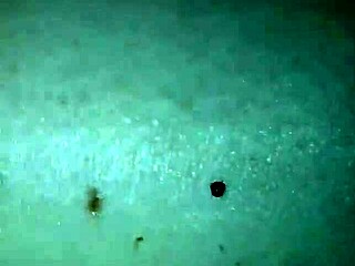 amateur chicks spread gaping asses after rough anal pounding