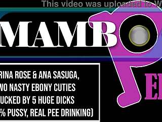Two Nasty EBONY SLUTS Karina Rose Take FIVE HUGE DICKS DAP! DIRTY BBC ATM Gaping Ass