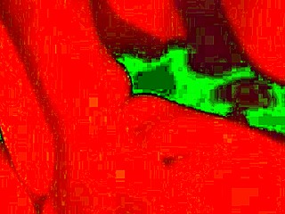 what if this blindfolded submissive bbw chokes on deepthroat facefuck till mouthful cum?